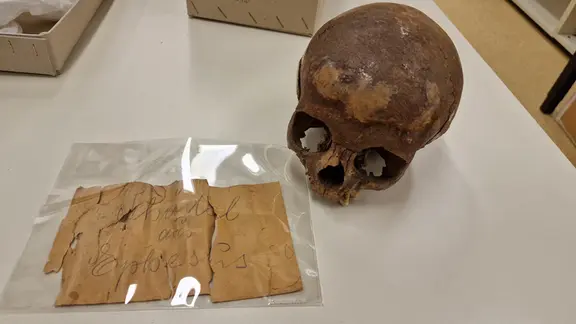 Menschenopfer im alten Ägypten mit neusten Methoden nachgewiesen