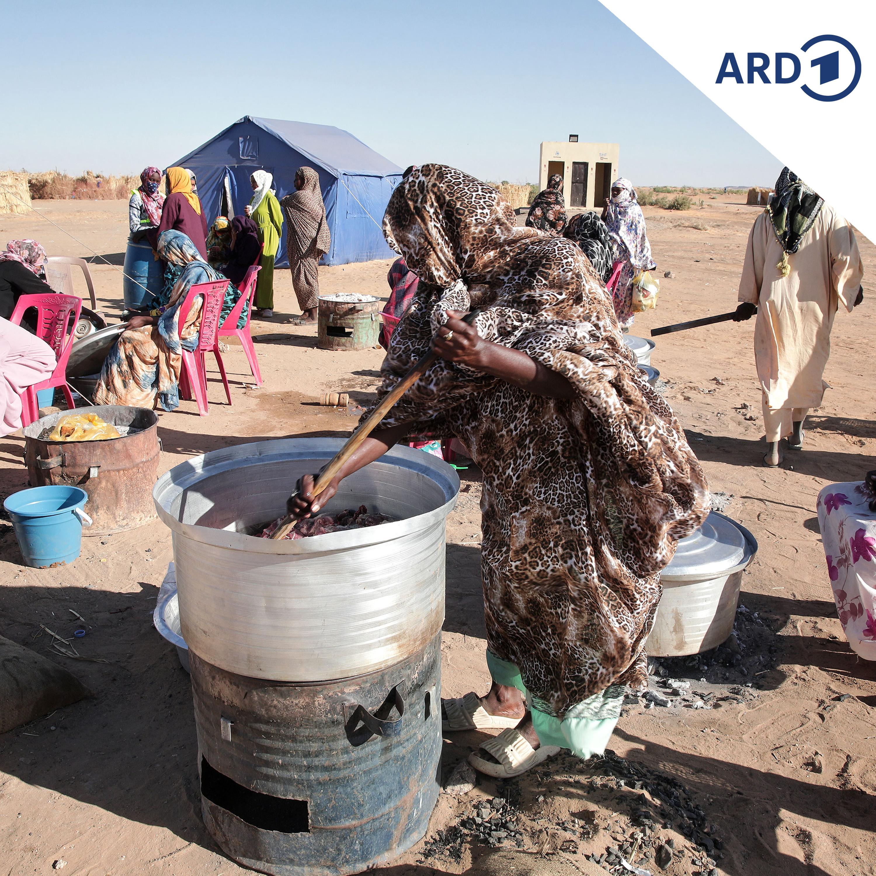 Mehrfach überfallen und ausgeraubt: UNHCR prangert Lage im Sudan an episode artwork