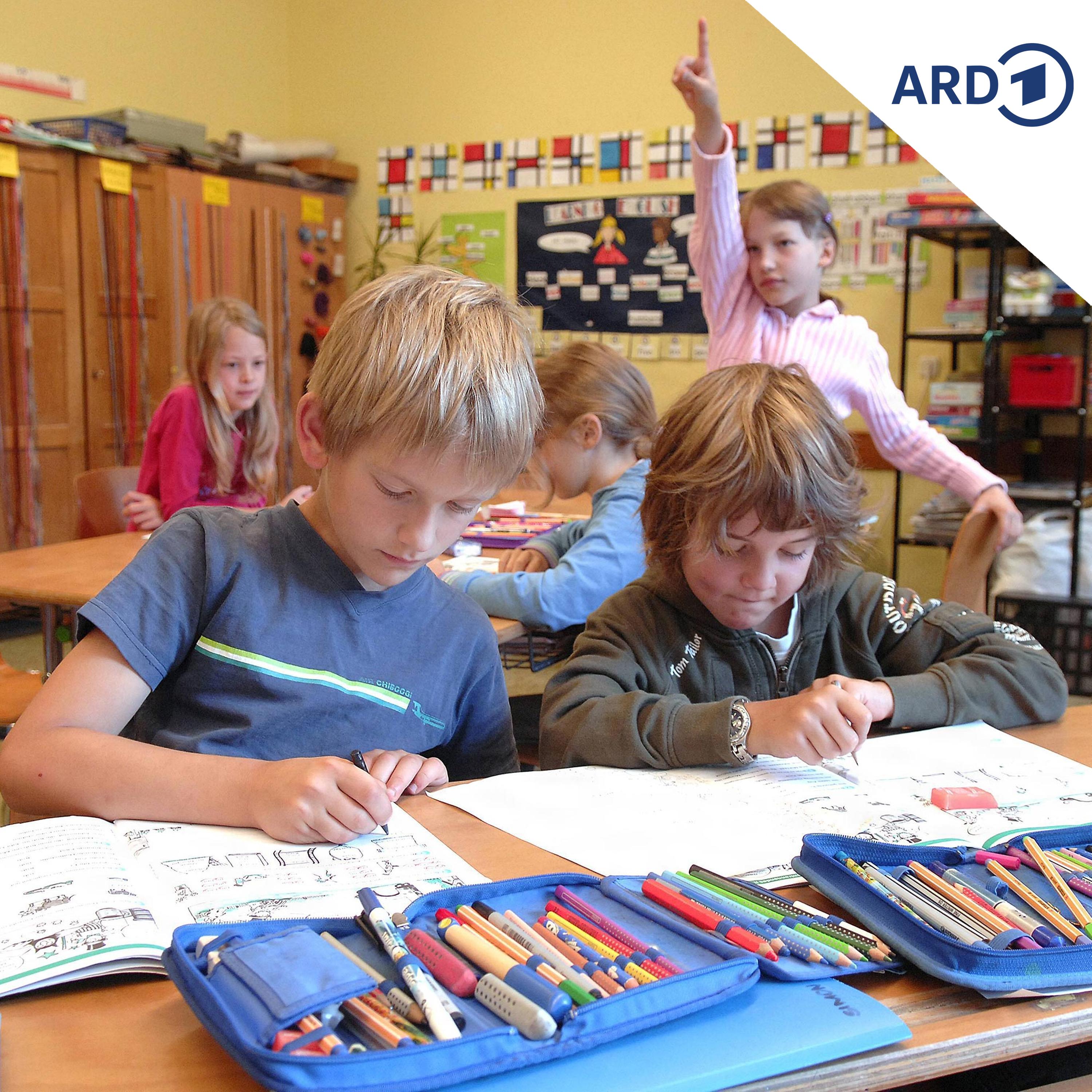 Pisa-Schock: Mitteldeutsche Länder ziehen Konsequenzen episode artwork