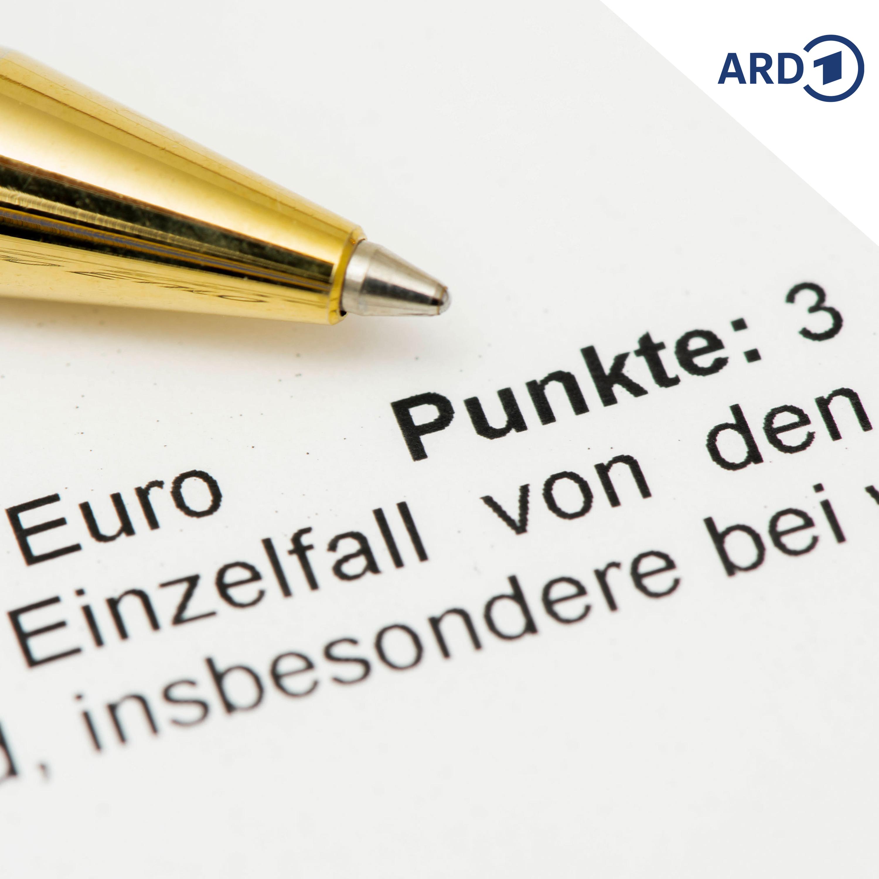 Bundesregierung will Handel mit Flensburg-Punkten stoppen episode artwork