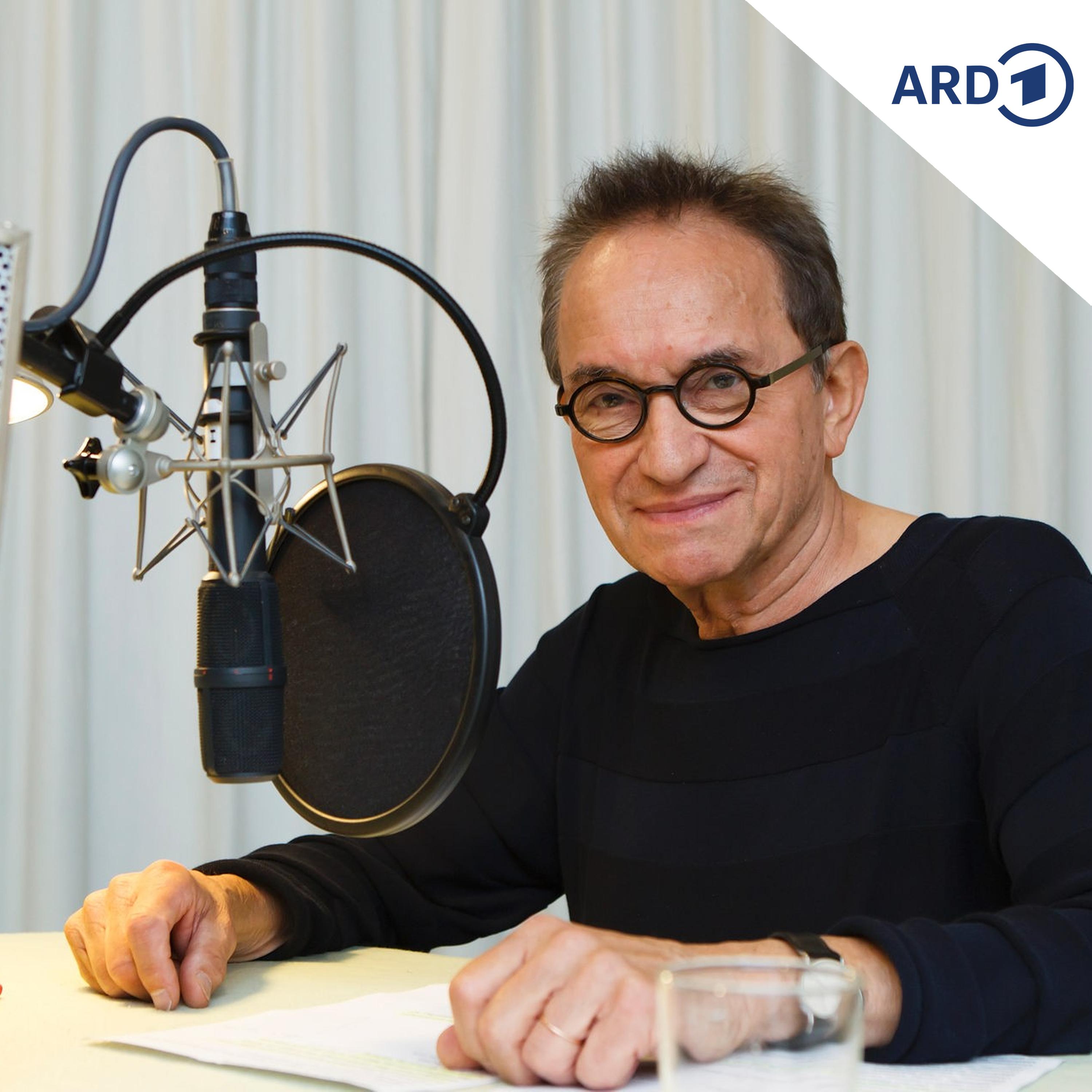 Hermann Harry Schmitz: Grotesken und Katastrophen-Geschichten (5/8) episode artwork