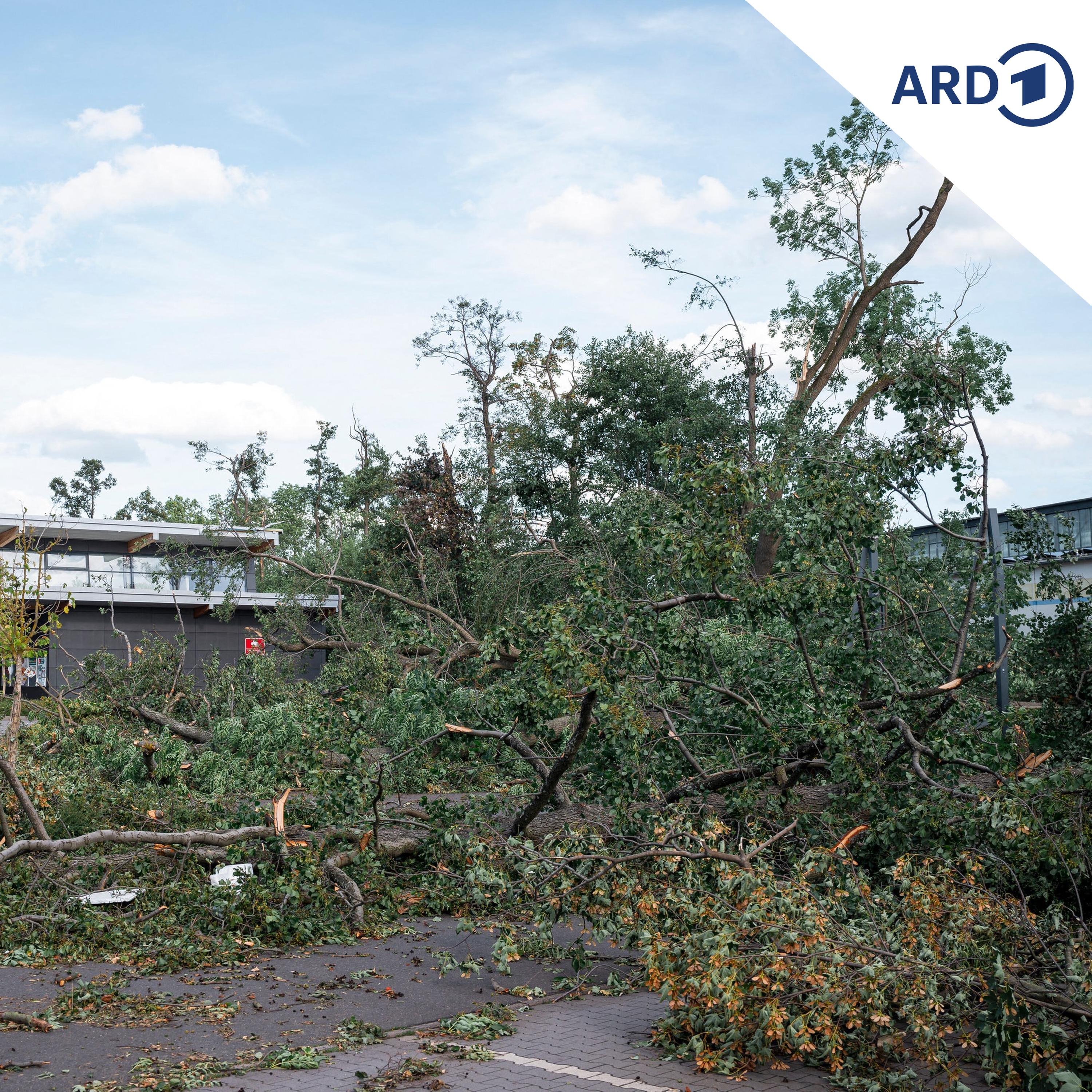 Stärkster Tornado Deutschlands 2026 in Thüringen