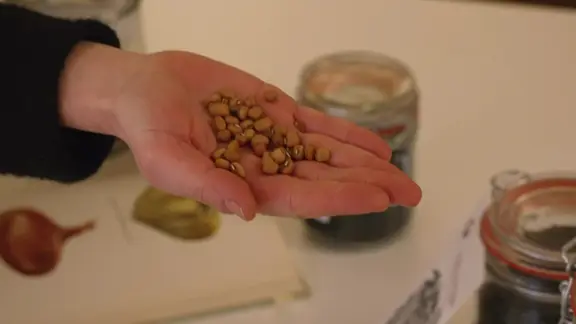 Zum Samentausch in die Stadtbibliothek Leipzig | mdr.de