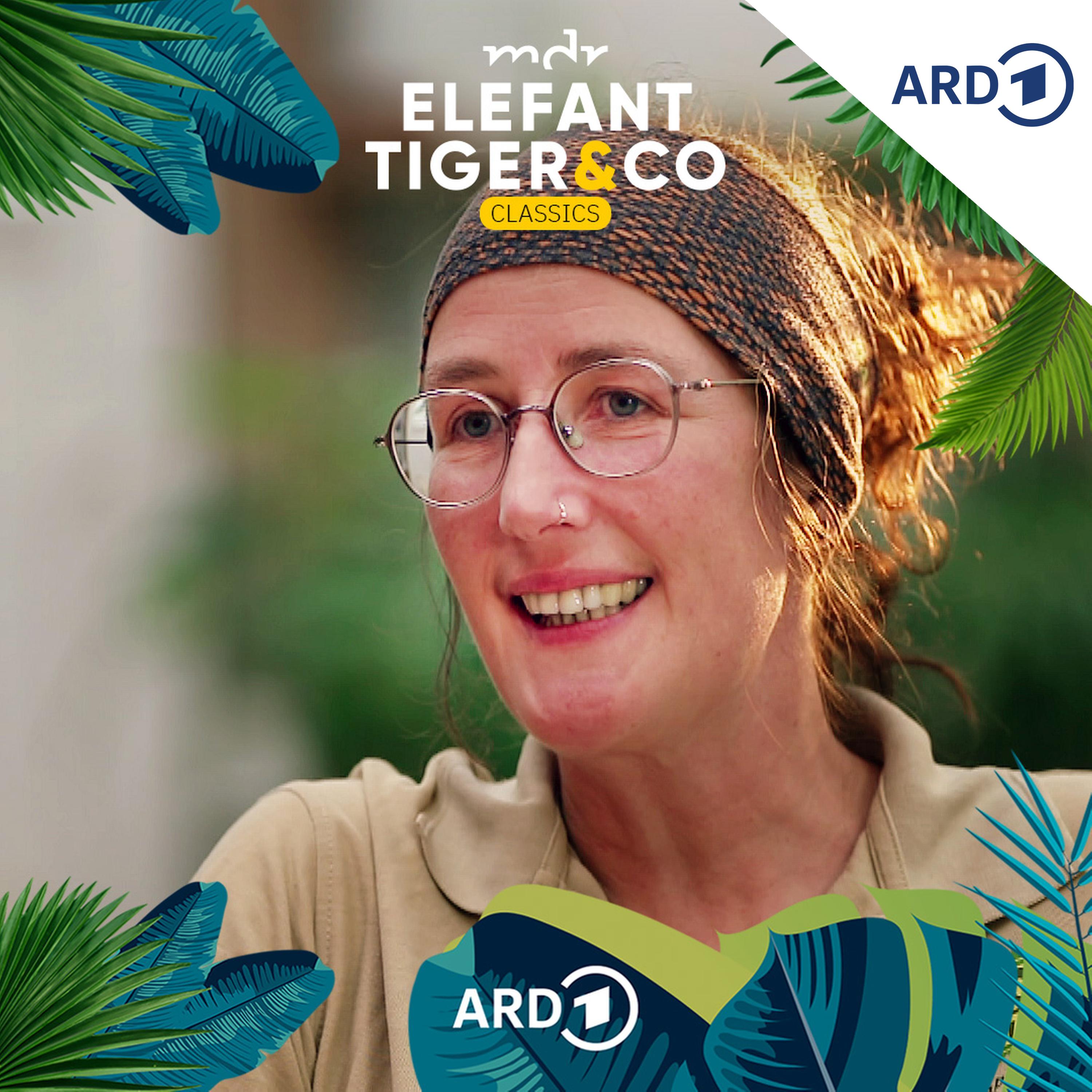 Artwork for Elefant, Tiger & Co. - Der Podcast