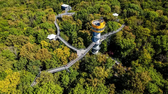 Der Baumkronenpfad im Hainich