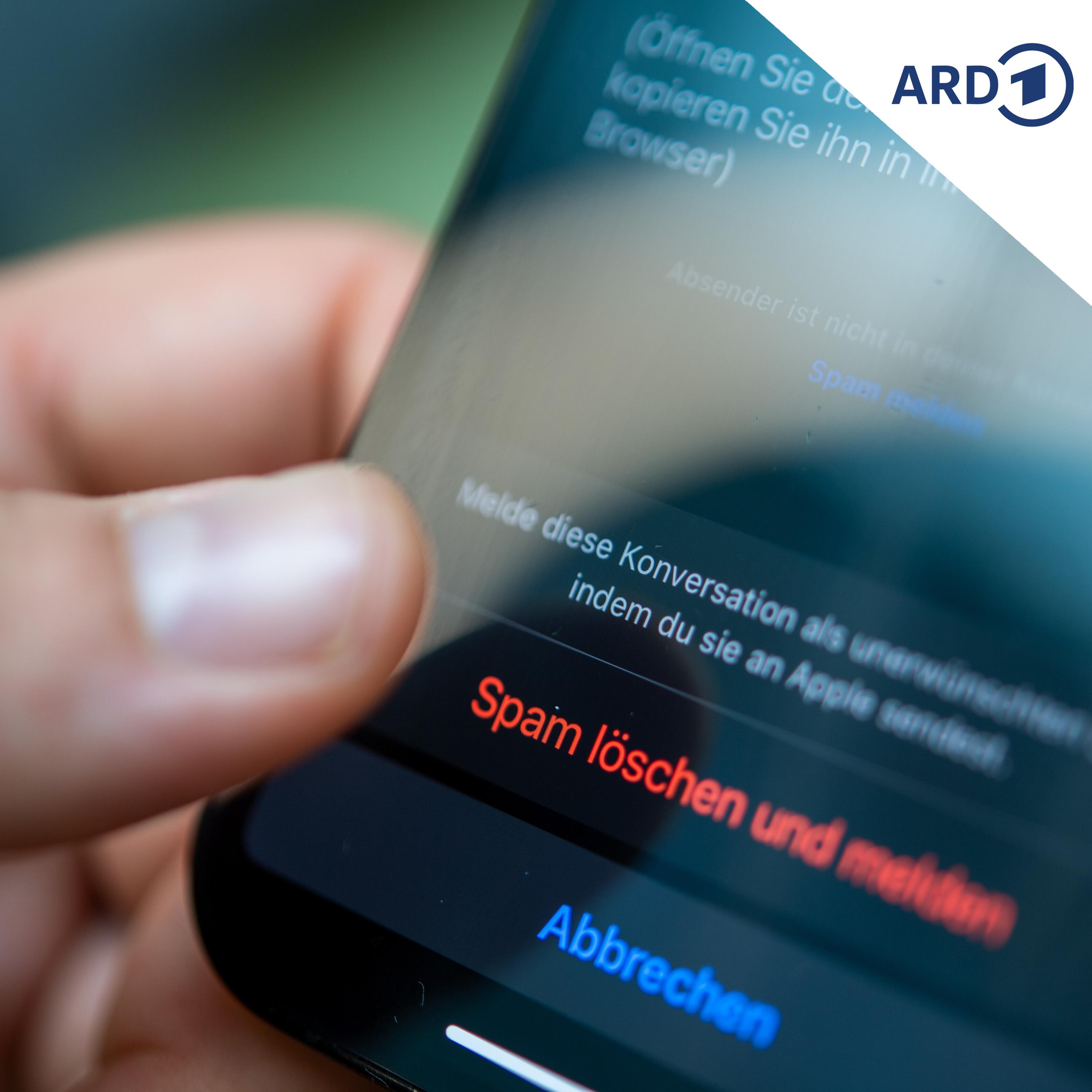 Der Polizeibericht am Morgen | 16.06.2026 episode artwork