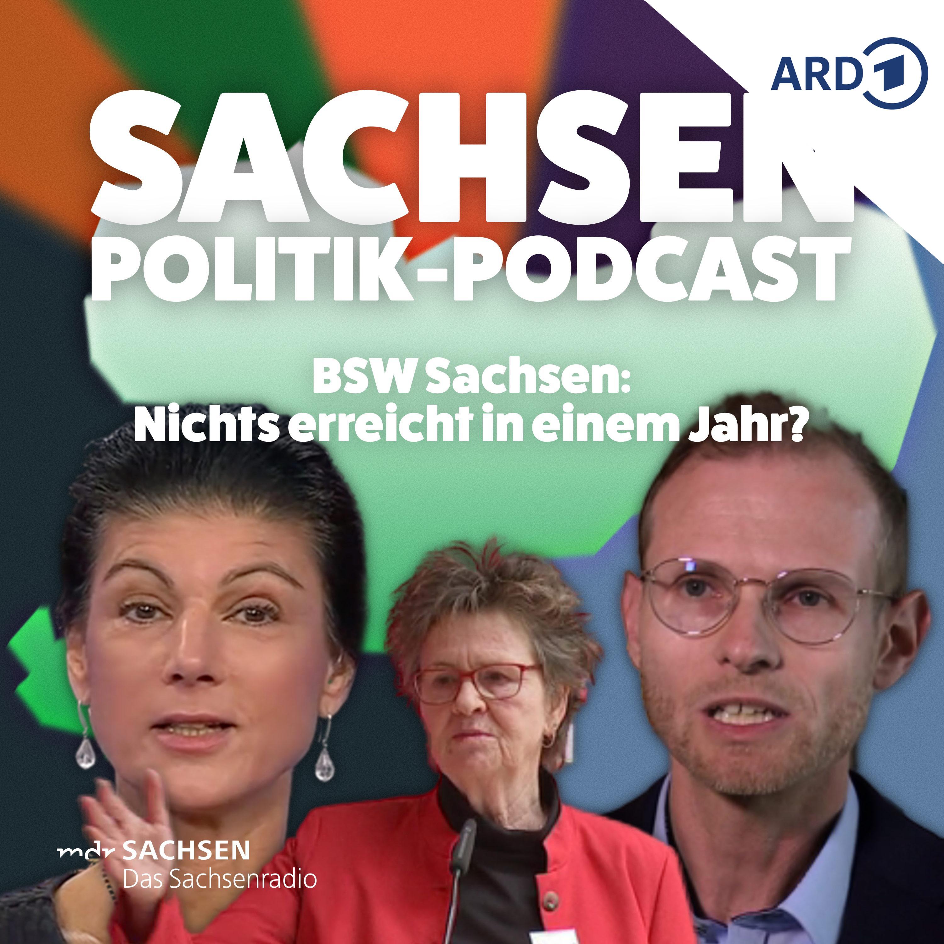 Chronik einer Zerreißprobe - ein Jahr BSW im sächsischen Landtag episode artwork