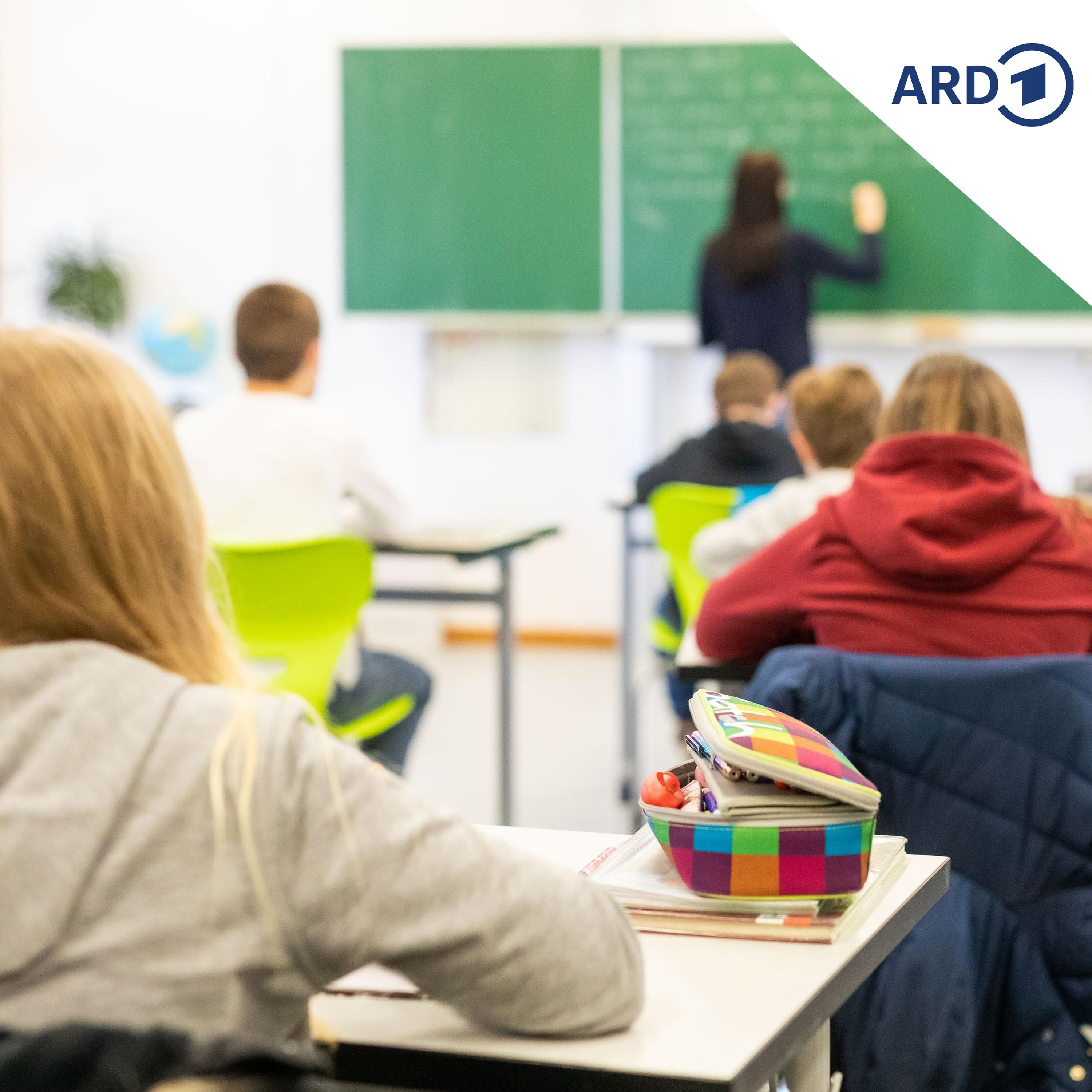 AfD Sachsen-Anhalt will Schulsystem radikal umbauen episode artwork