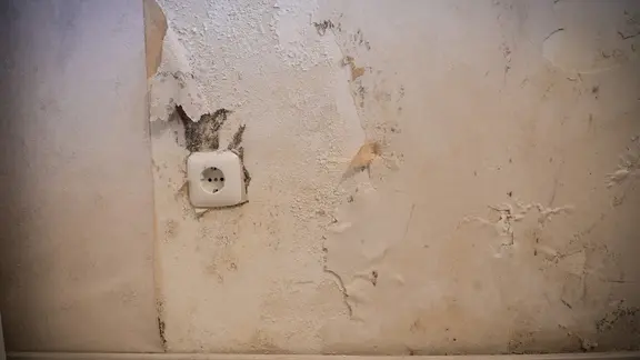 In einer Wohnung befindet sich an einer Wand über und neben einer Steckdose schwarzer Schimmelfleck, über dem sich bereits die Tapete ablöst
