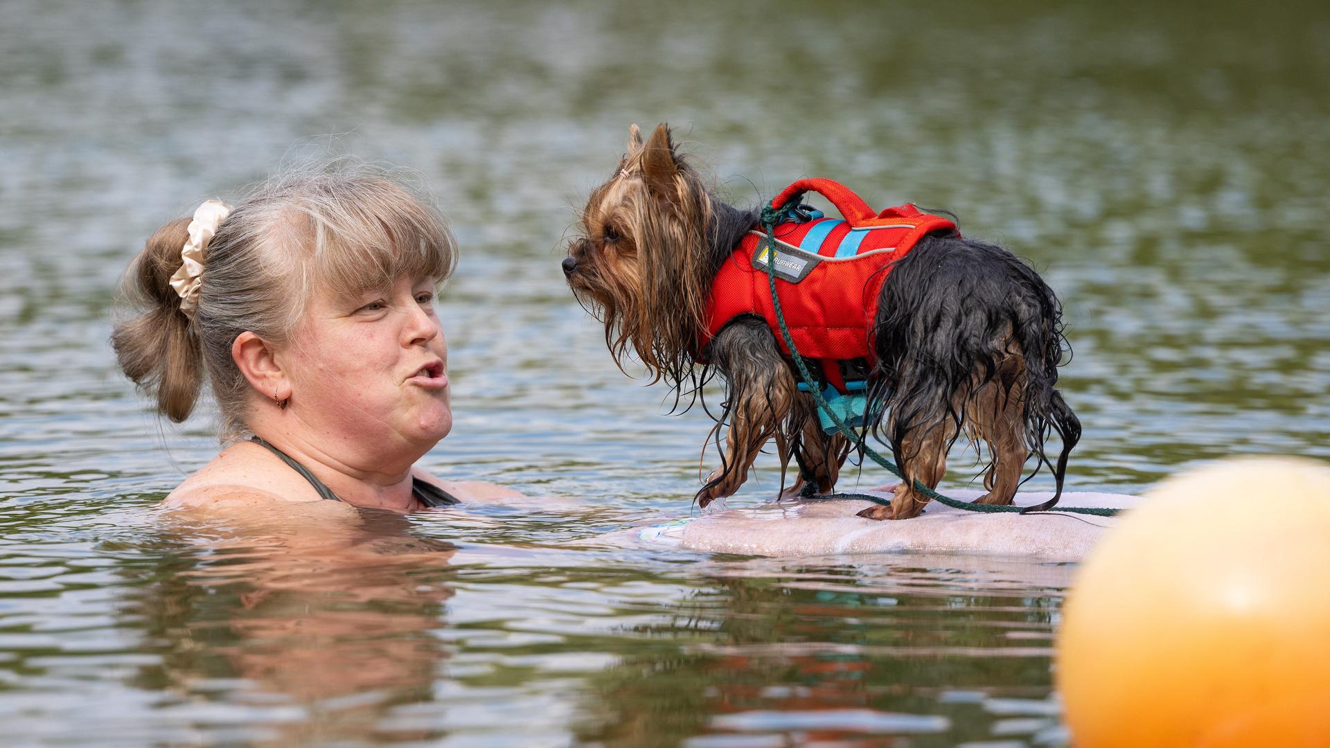 Badespaß für Vierbeiner: Hundebaden hat in Dresden Premiere