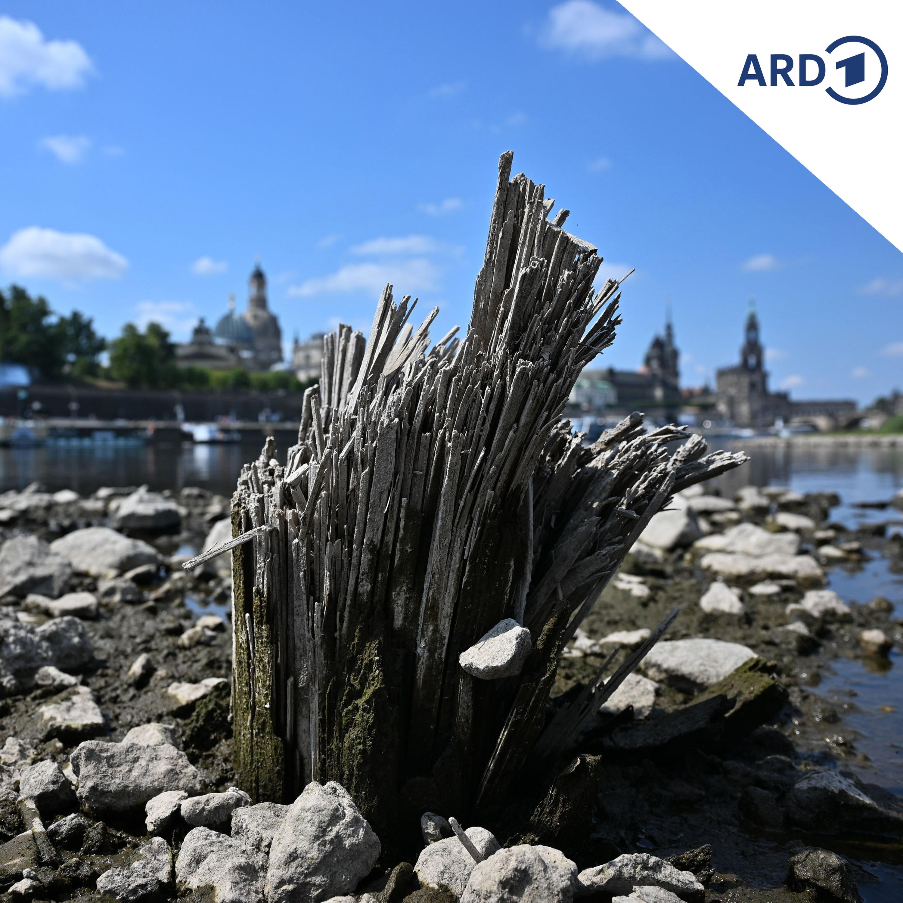 Trotz Knappheit: Thüringer Industrie bekommt Wasser geschenkt episode artwork