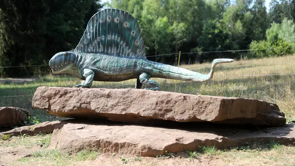 Saurier-Erlebnispfad, hier der Bromacker, eine bedeutende Fossilien-Fundstaette im Tambacher Becken (ehemaliger Grabenbruch im heutigen Thueringer Wald), hier wurden neben Insekten- und Pflanzenfossilien über 40 Skelette von rund 12 Arten von Ur-Reptilien ausgegraben im Bild: hier ein Segelruecken-Saurier vor dem Bromacker. 