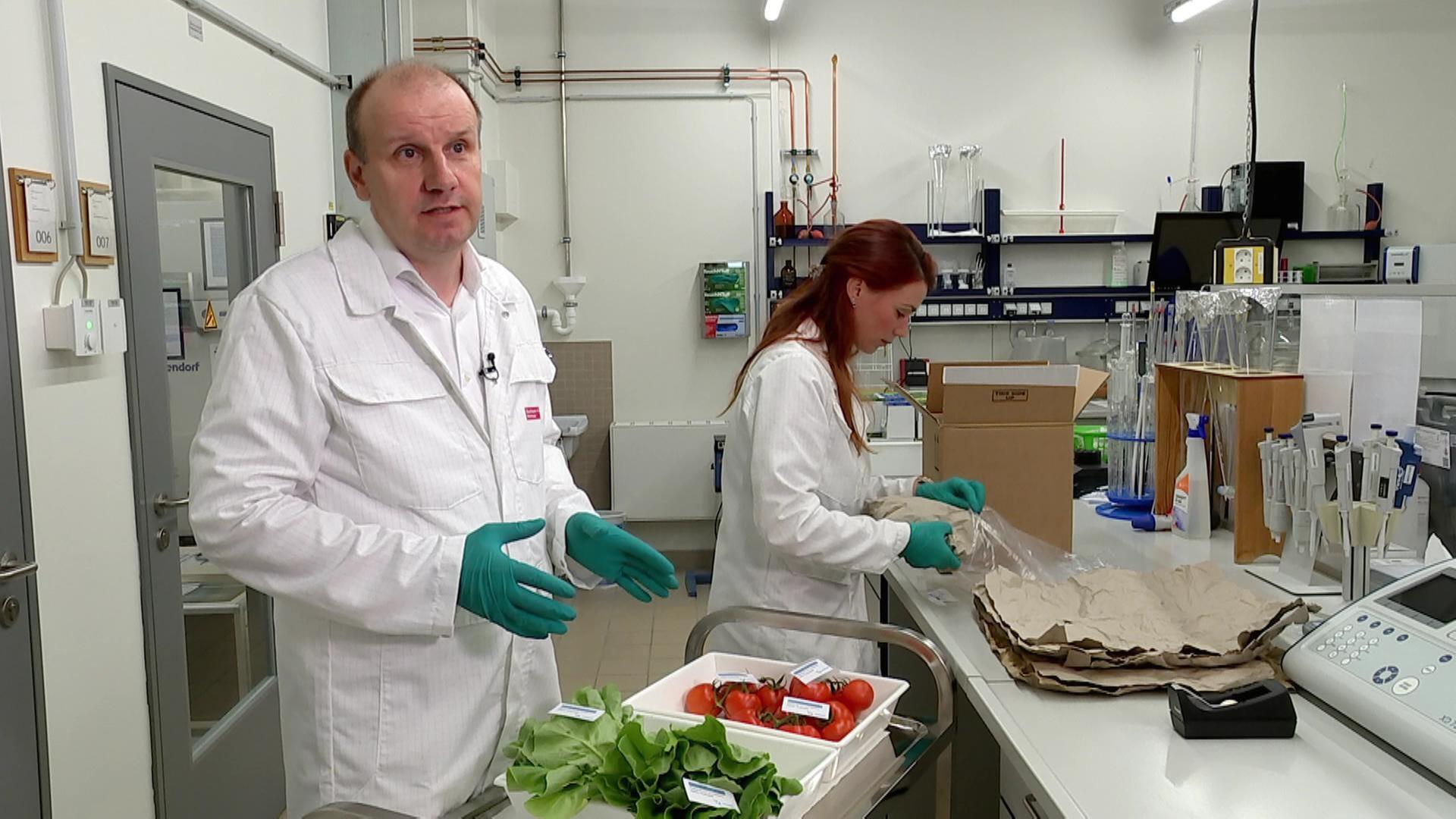 Abwasser lässt Salat und Tomaten wachsen