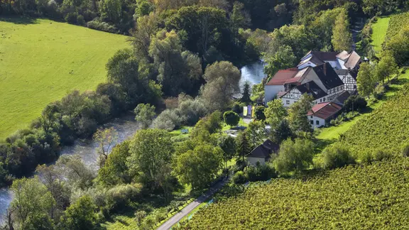 Aussicht auf das Landesweingut Kloster Pforta an der Saale mit Weinberg, Naumburg