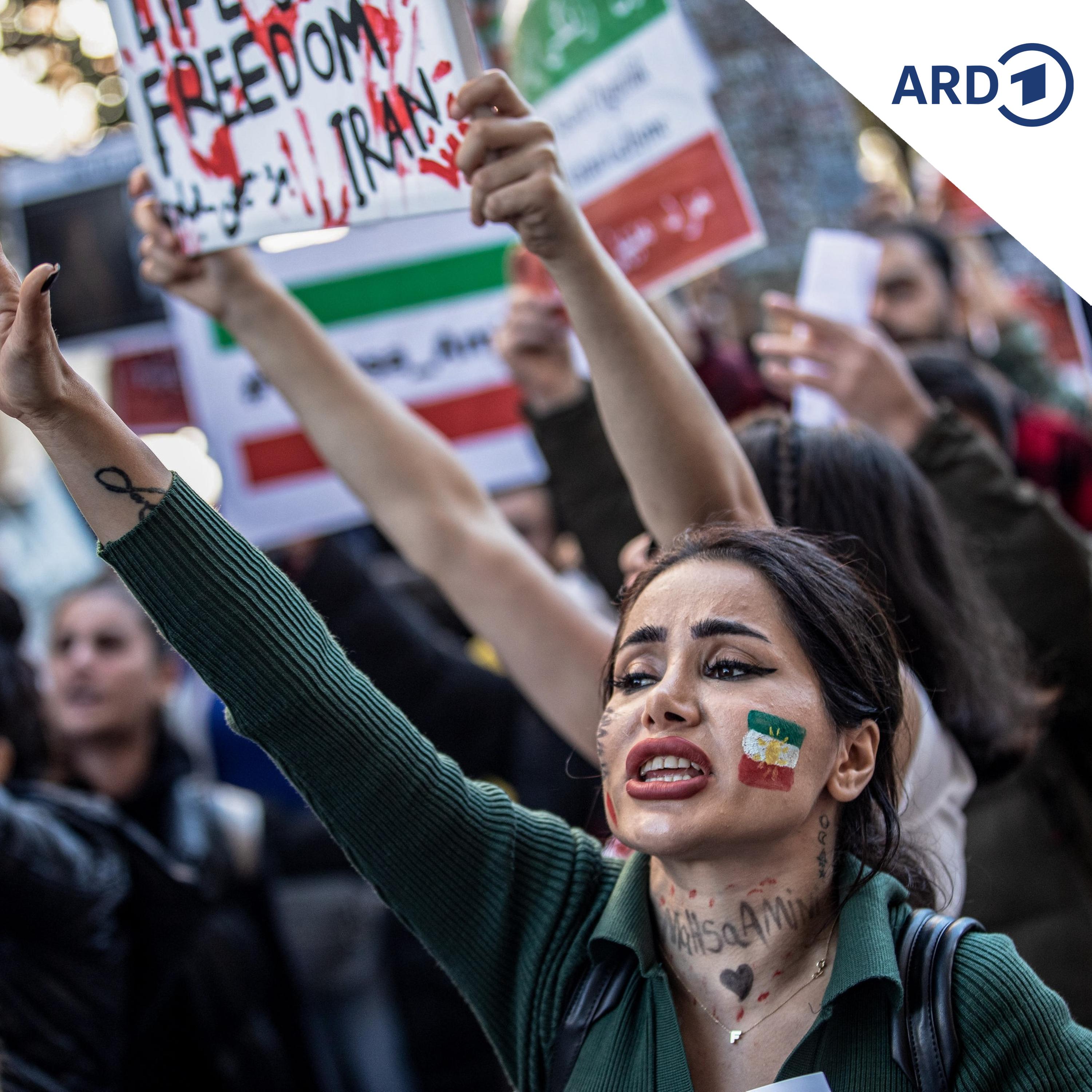 Aktivisten: Rund 4.500 Tote bei Iran-Protesten episode artwork