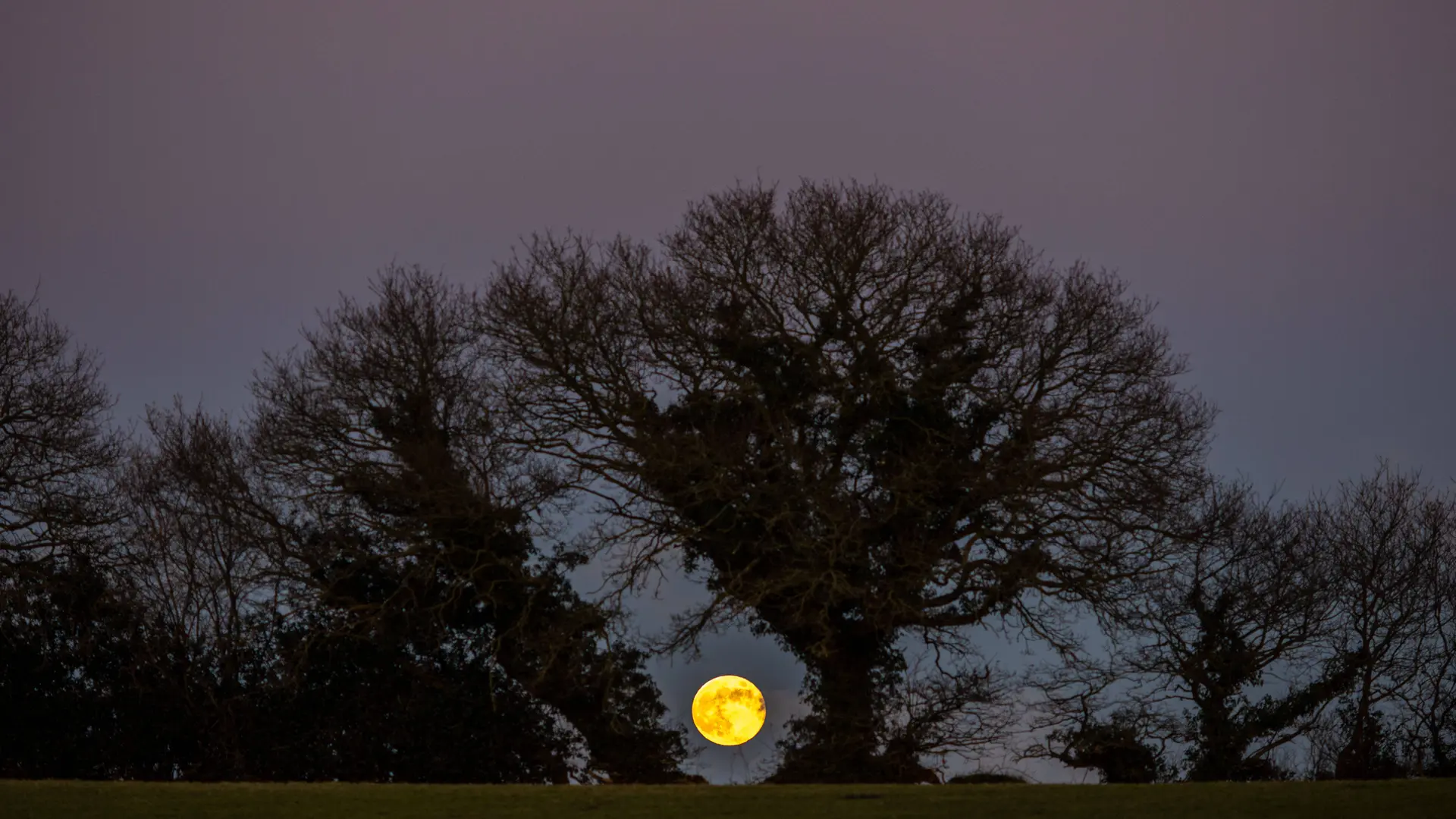 Herbstmond im September: Vollmond und Saturn gemeinsam am Nachthimmel