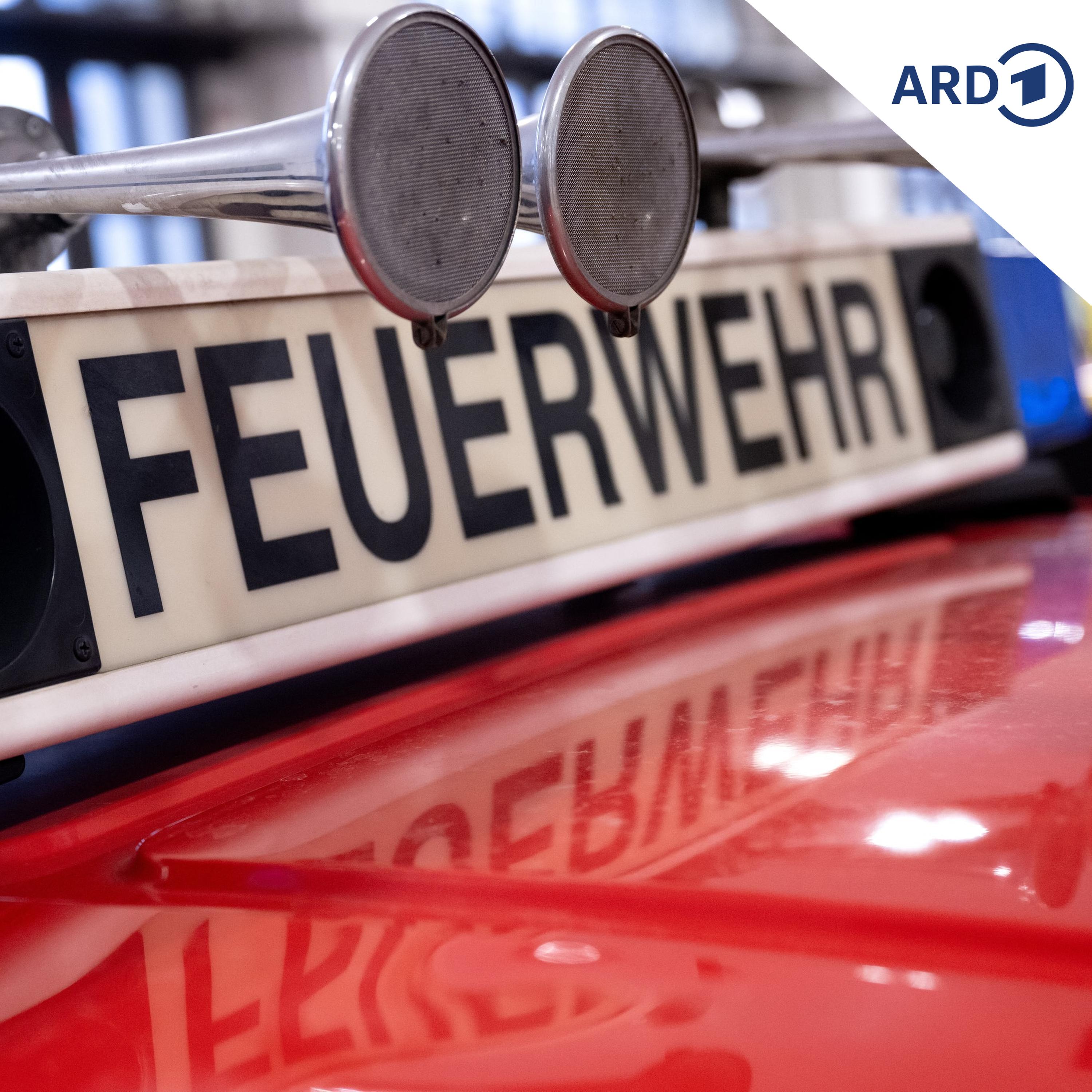 Der Polizeibericht am Morgen | 01.09.2026 episode artwork
