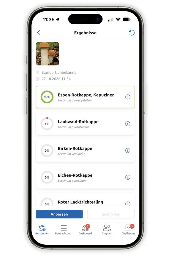 Giftpilze sammeln? Ja, aber nur per App