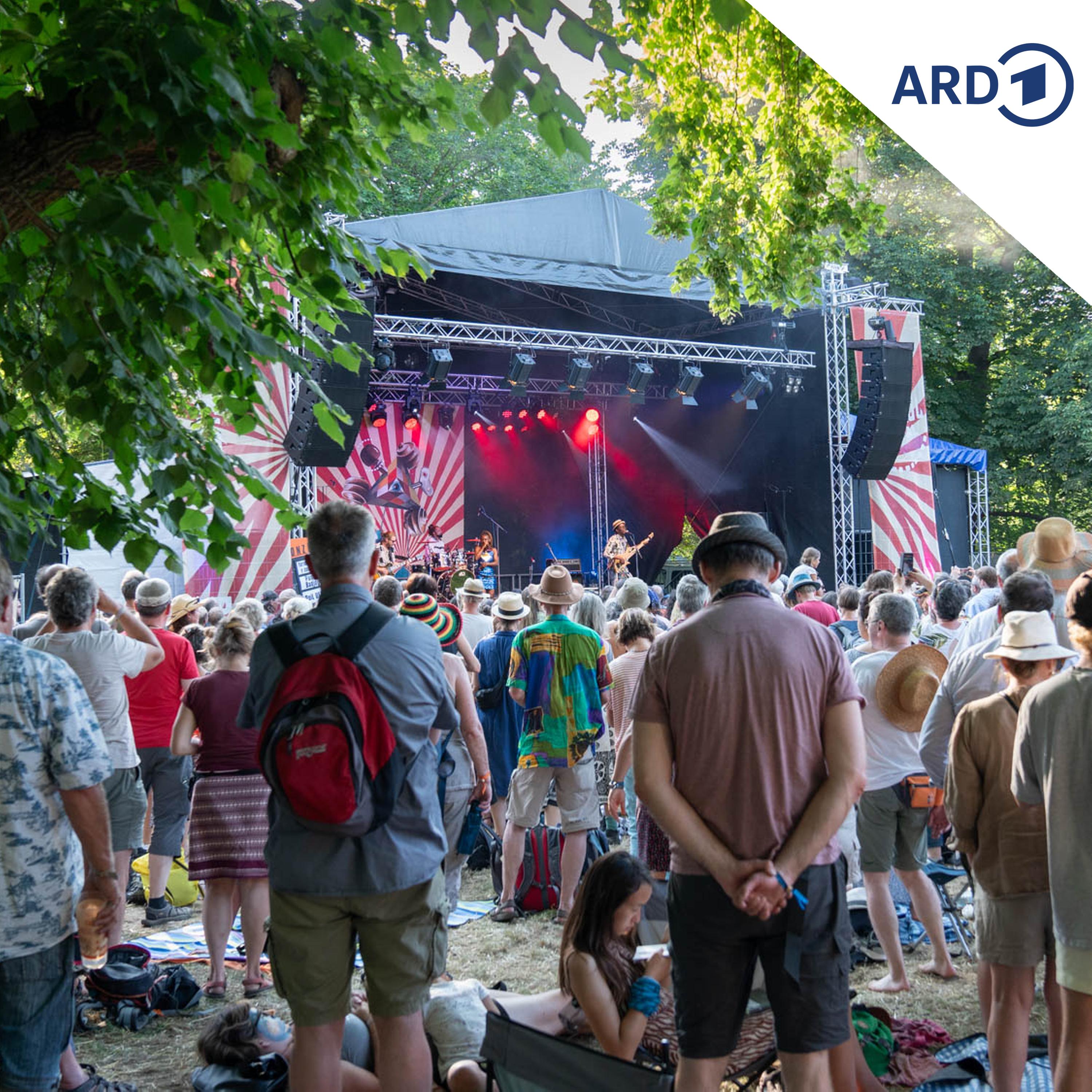 Rudolstadt Festival LIVE – mit Rob Heron, Maxjoseph und Le Mali 70 Earkestra episode artwork
