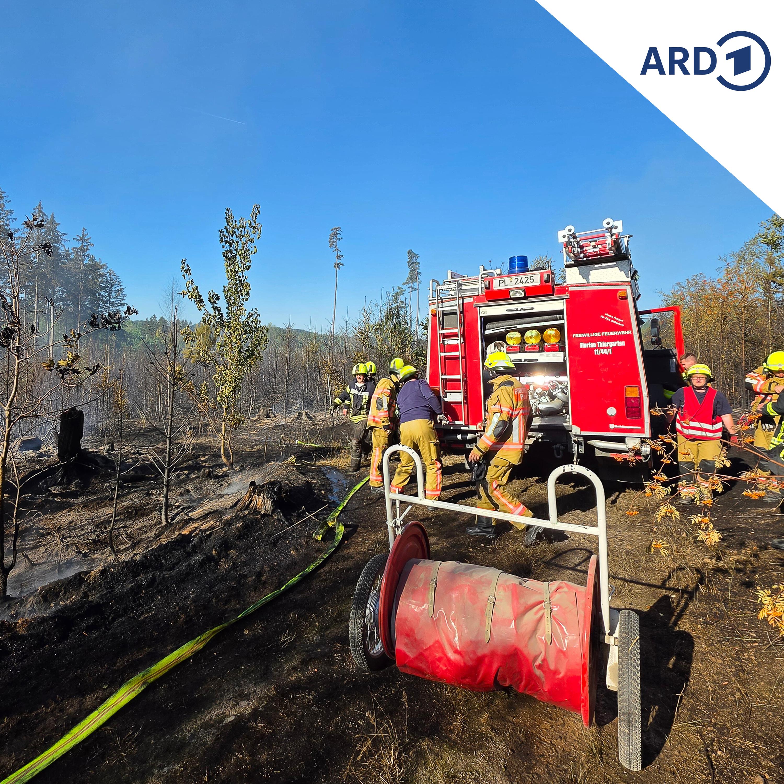 Waldbrand bei Plauen: Rund 20 Jahre Forstumbau vernichtet