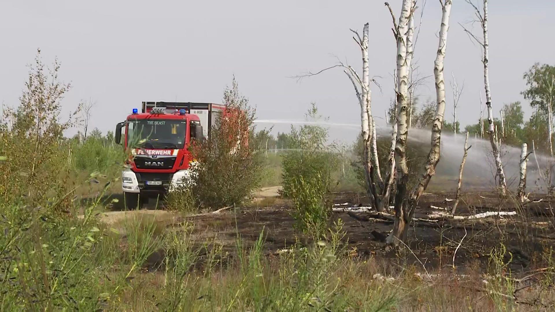 Waldbrand in der Gohrischheide offenbar unter Kontrolle