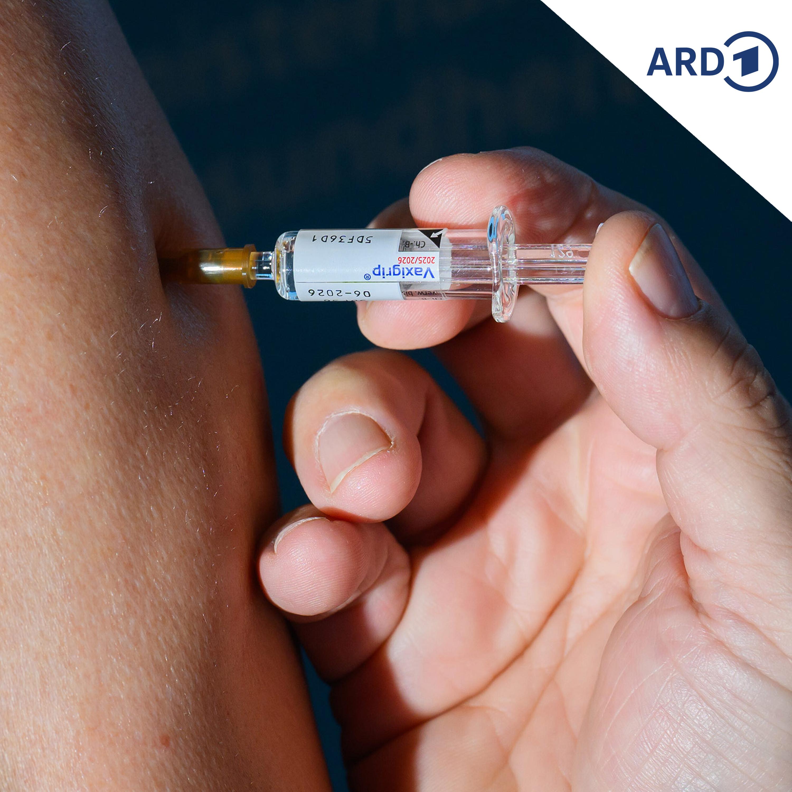 Grippewelle: Schützt die Impfung gegen aktuelle Virenstämme? episode artwork