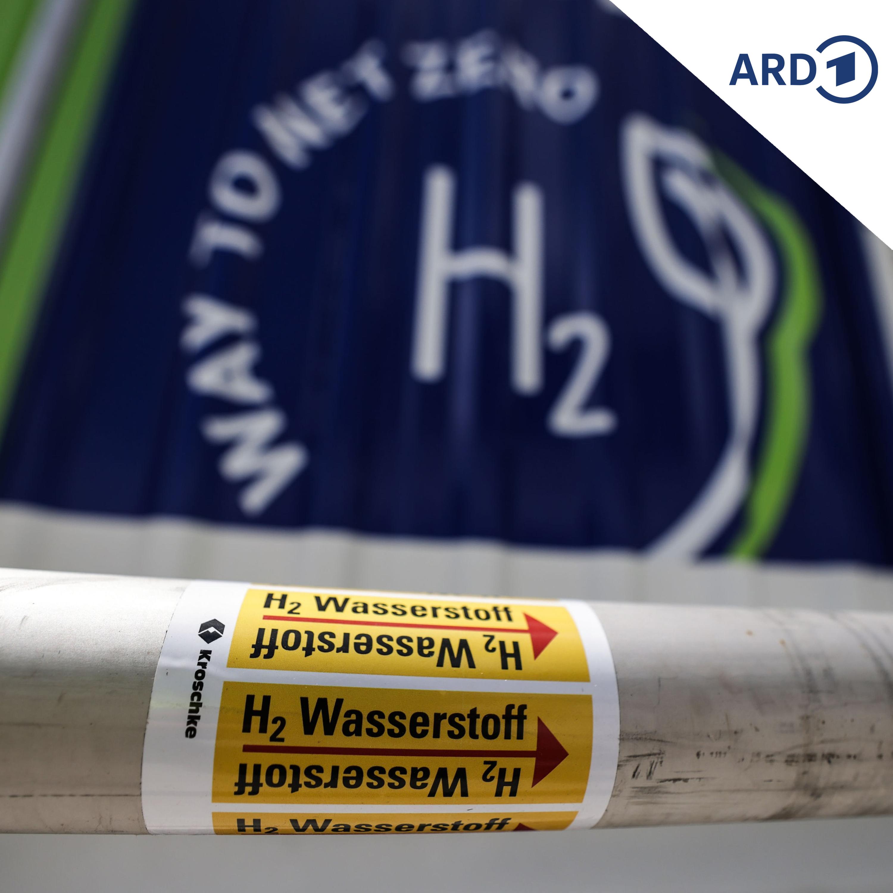 Was wurde aus der Ansiedlung des Wasserstoffhändlers Hintco? episode artwork