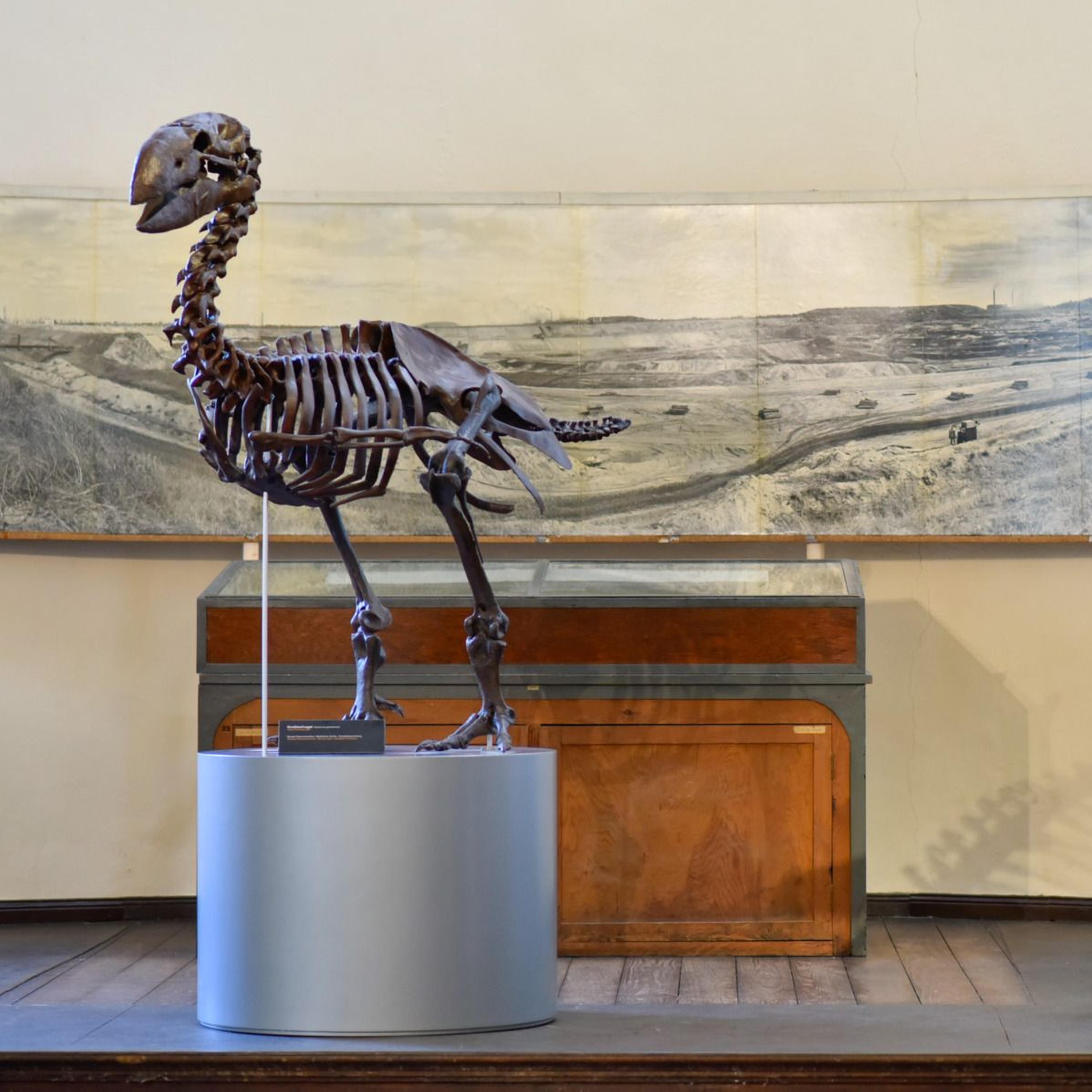 Eine Reise in das subtropische Deutschland – Das Geiseltalmuseum in Halle