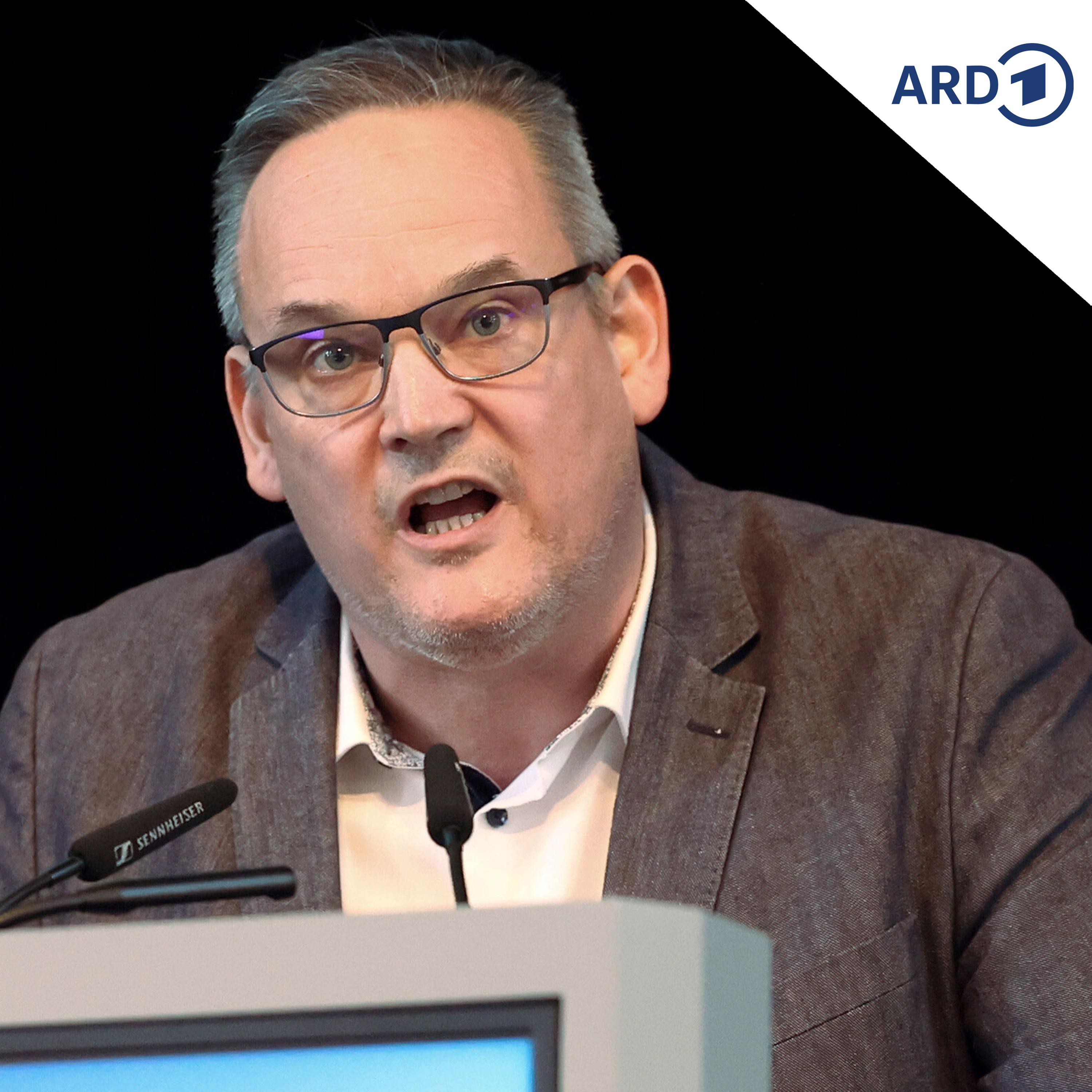 Hitlergruß-Vorwurf gegen Sachsen-Anhalts AfD-Chef episode artwork
