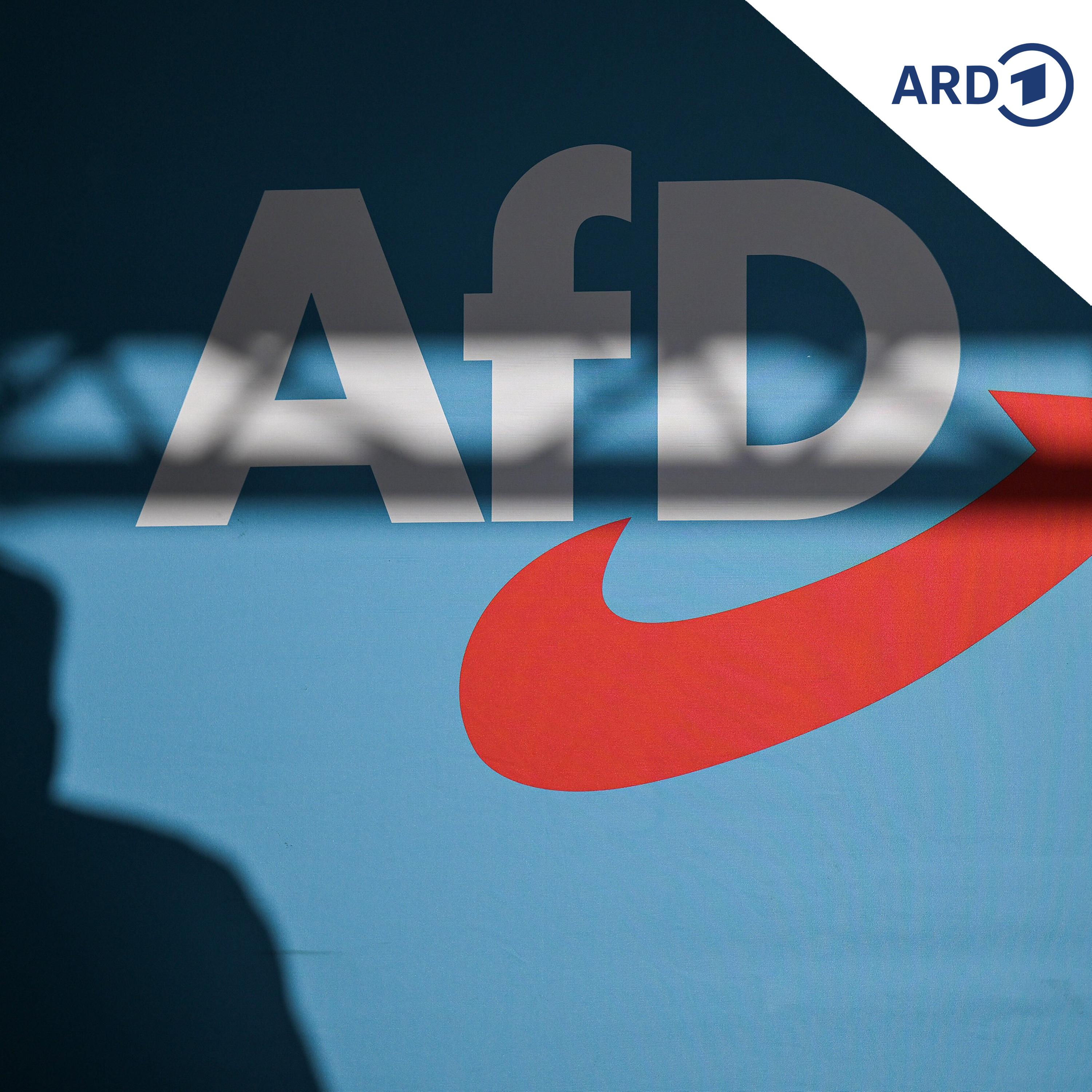 Wie sich die AfD für die Landtagswahl in Sachsen-Anhalt aufstellt episode artwork