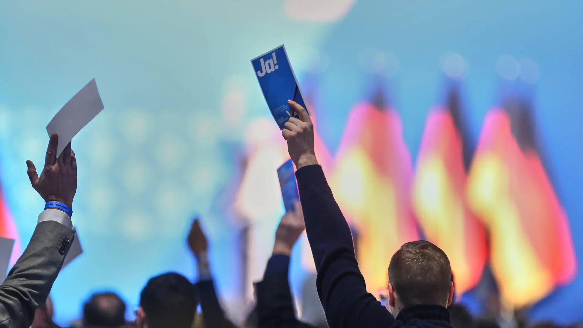 Parteiprogramm Afd AfD-Parteitag in Erfurt: Warum Messe und Polizei die Veranstaltung ...