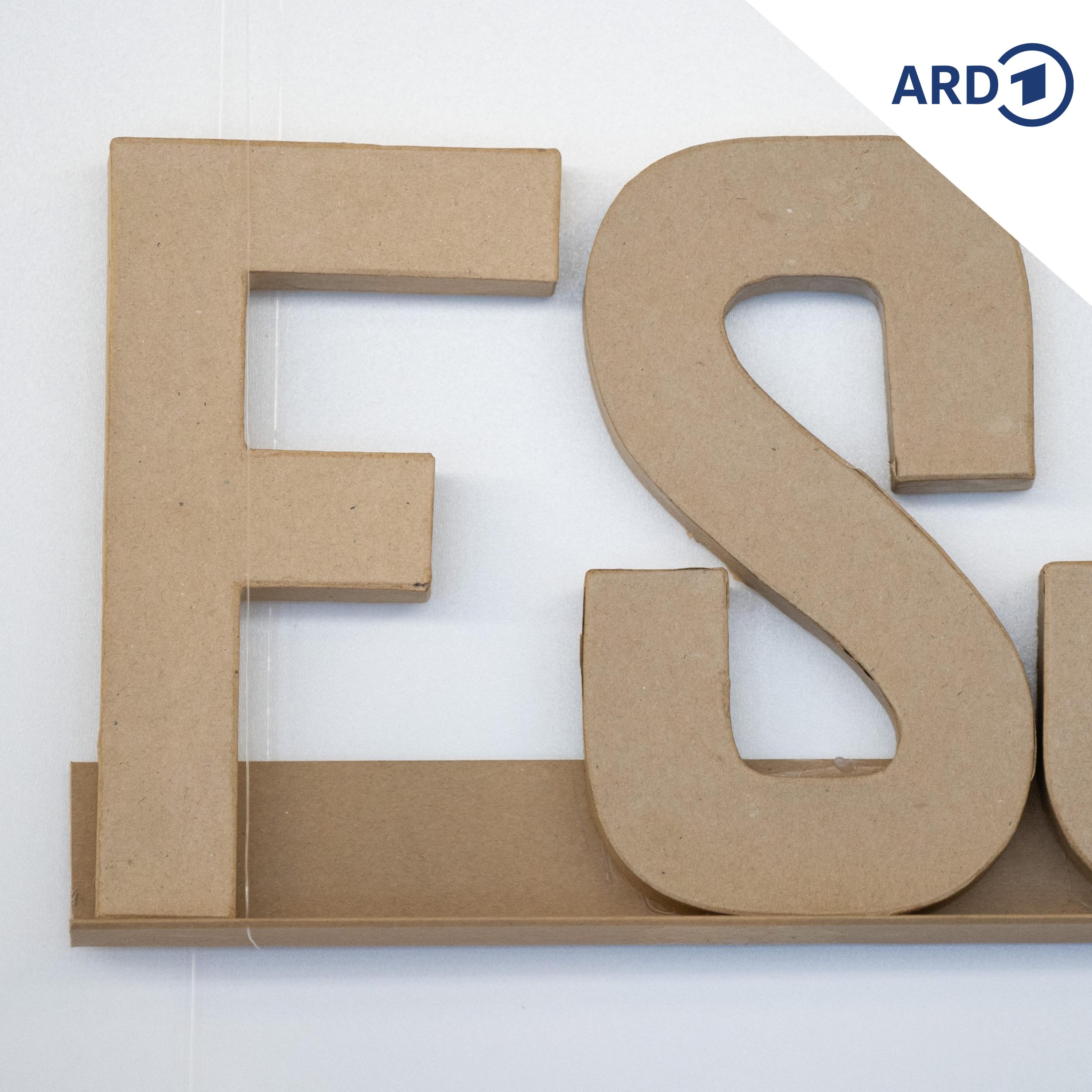 Freiwilligendienst im Ausland: Die Crux mit der Finanzierung episode artwork