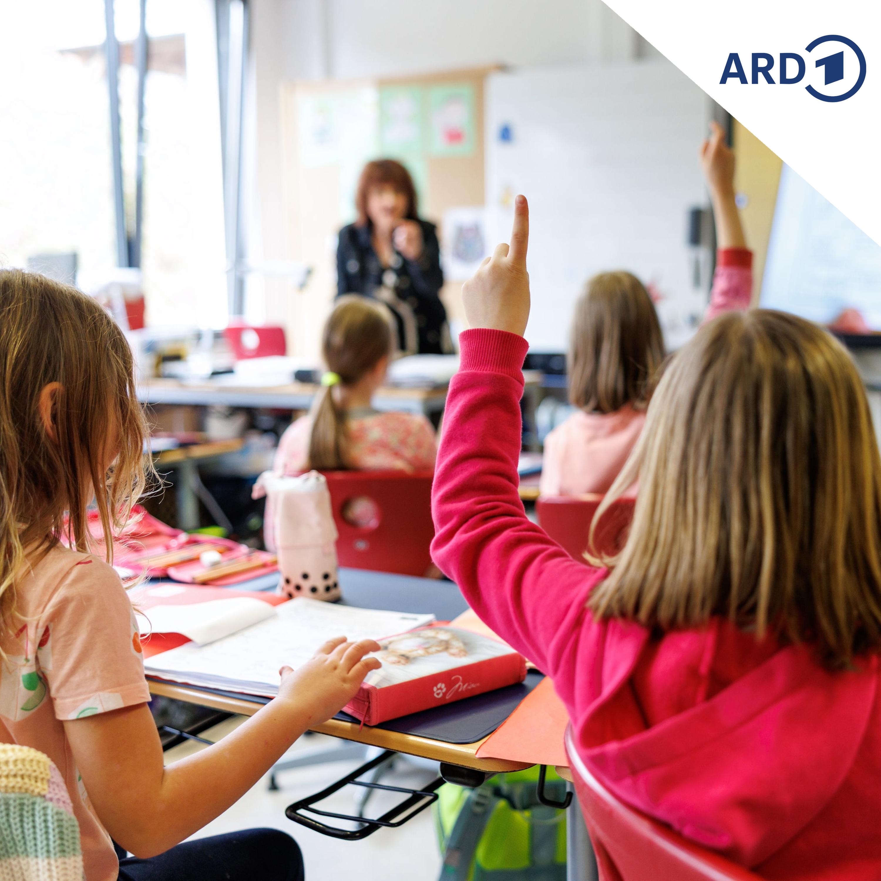Sachsen-Anhalts AfD will "Bildungspflicht" statt Schulpflicht episode artwork