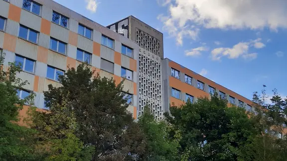Bäume stehen vor einem Gebäude.