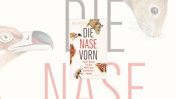 Um den Titel herum sind vier Tiere abgebildet, z.T. nur mit deren "Köpfen": Maus, Geier, Biene und Schmetterling.