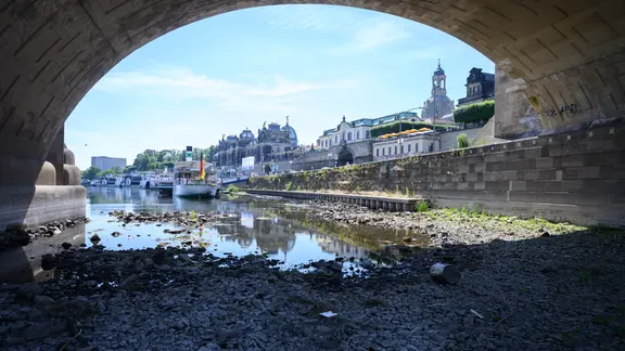Die stark ausgetrocknete Elbe in Dresden