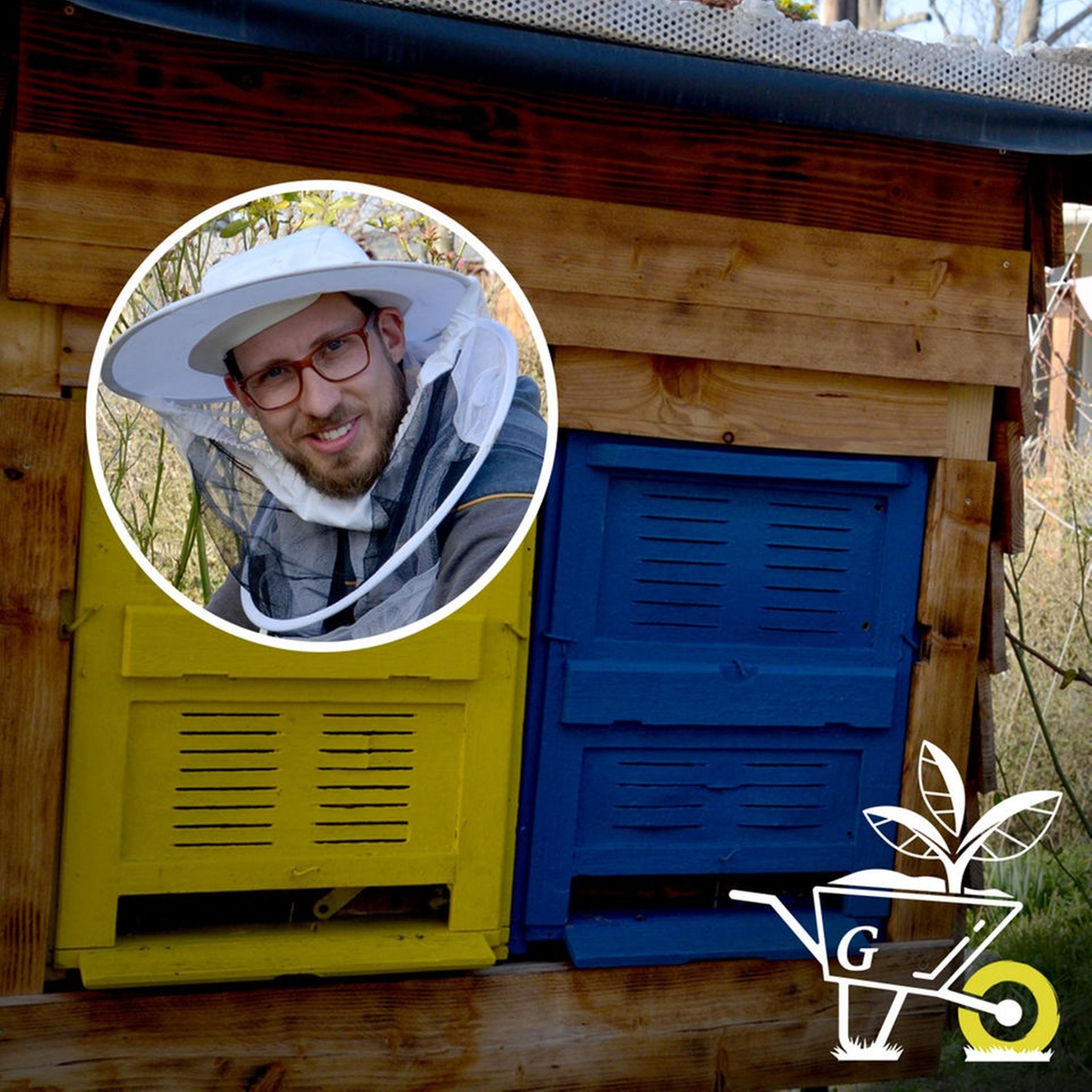 #61: Bienen im Kleingarten episode artwork