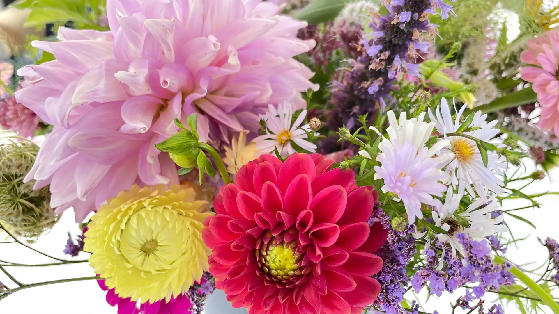 Blumen fr Strue im Garten anbauen und binden | mdr.de