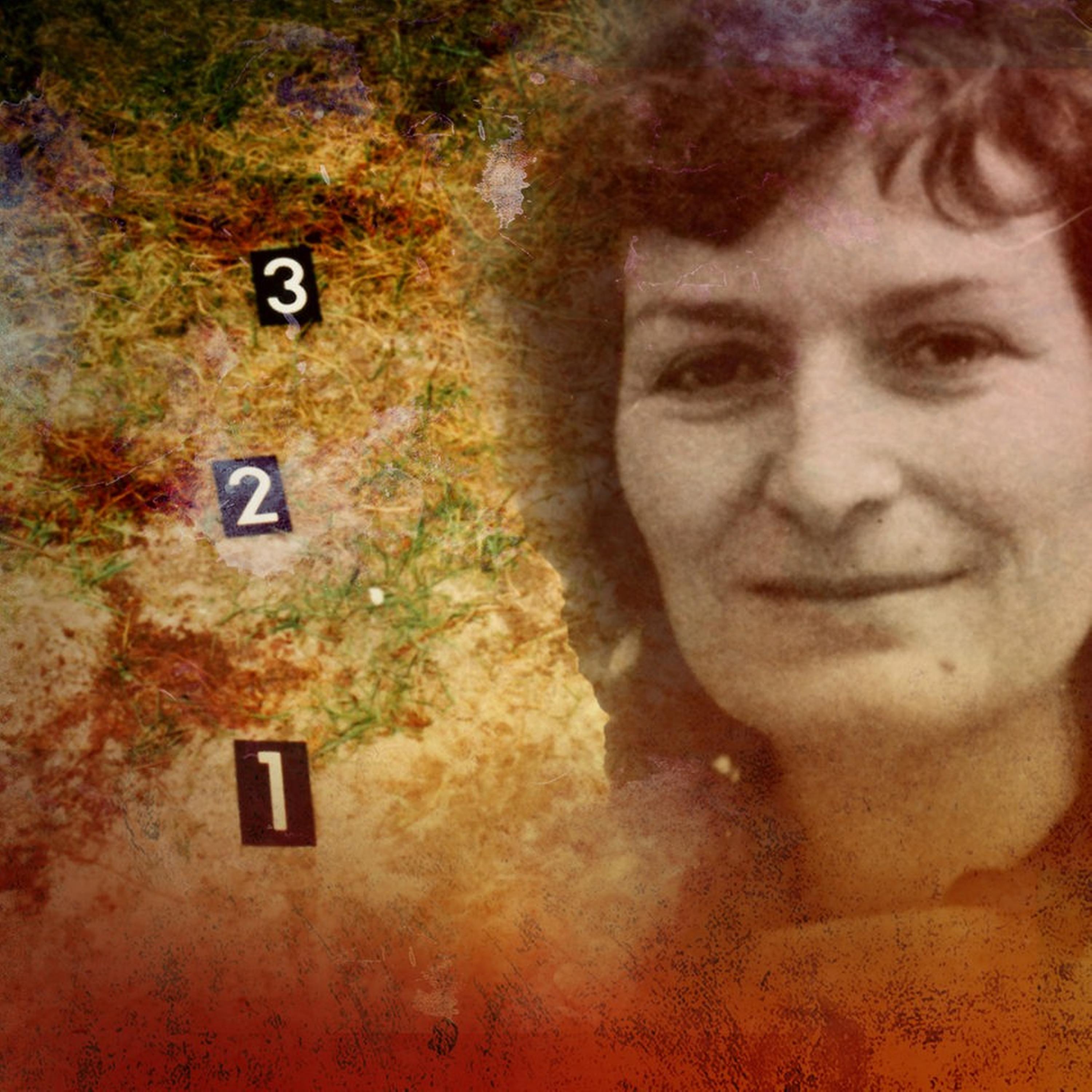 Wald ohne Wiederkehr - Cold Case Gitta Schnieder episode artwork