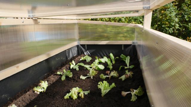 Garten-Test: Frhbeete im Vergleich