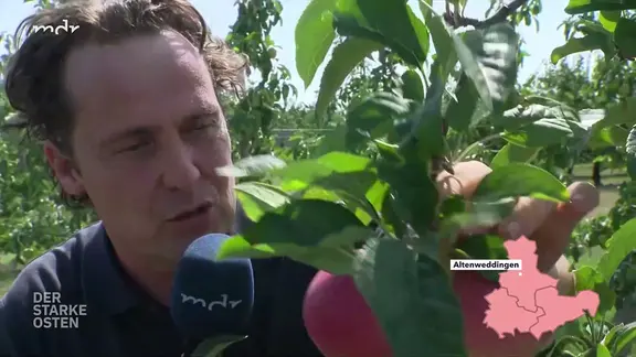 Szene aus Livestream MDR-Fernsehen