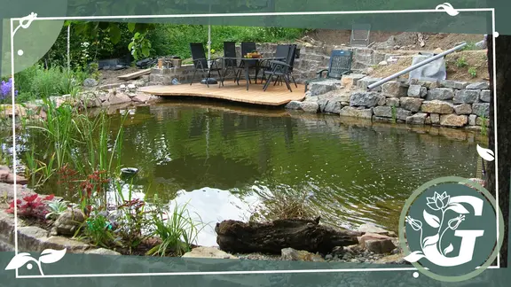 Gartenteich: Pflege im Sommer | mdr.de