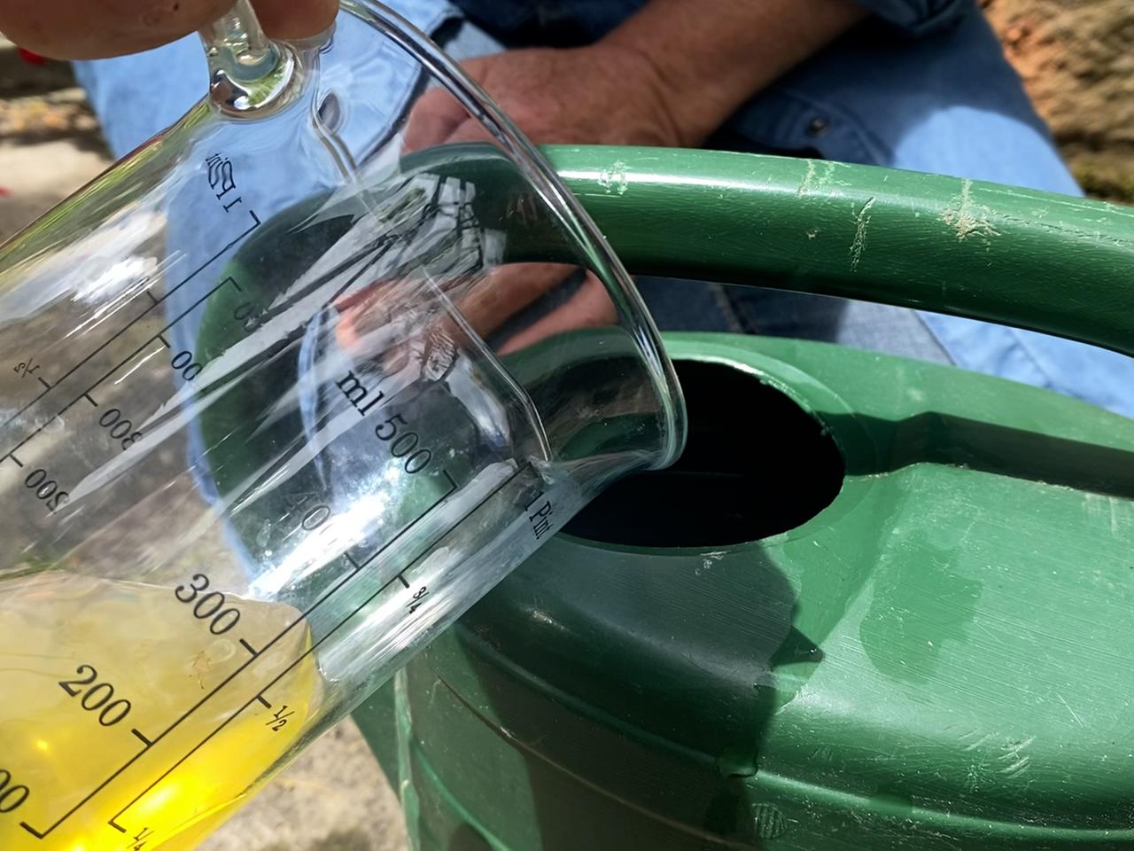 dünger für wassermelone Wassermelone-Dünger — Silberkraft