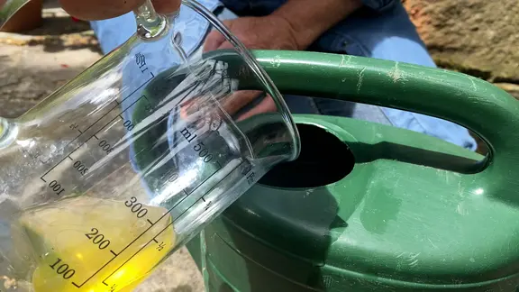 Dngen mit Urin: So hilft "Goldwasser" Pflanzen im Garten | mdr.de