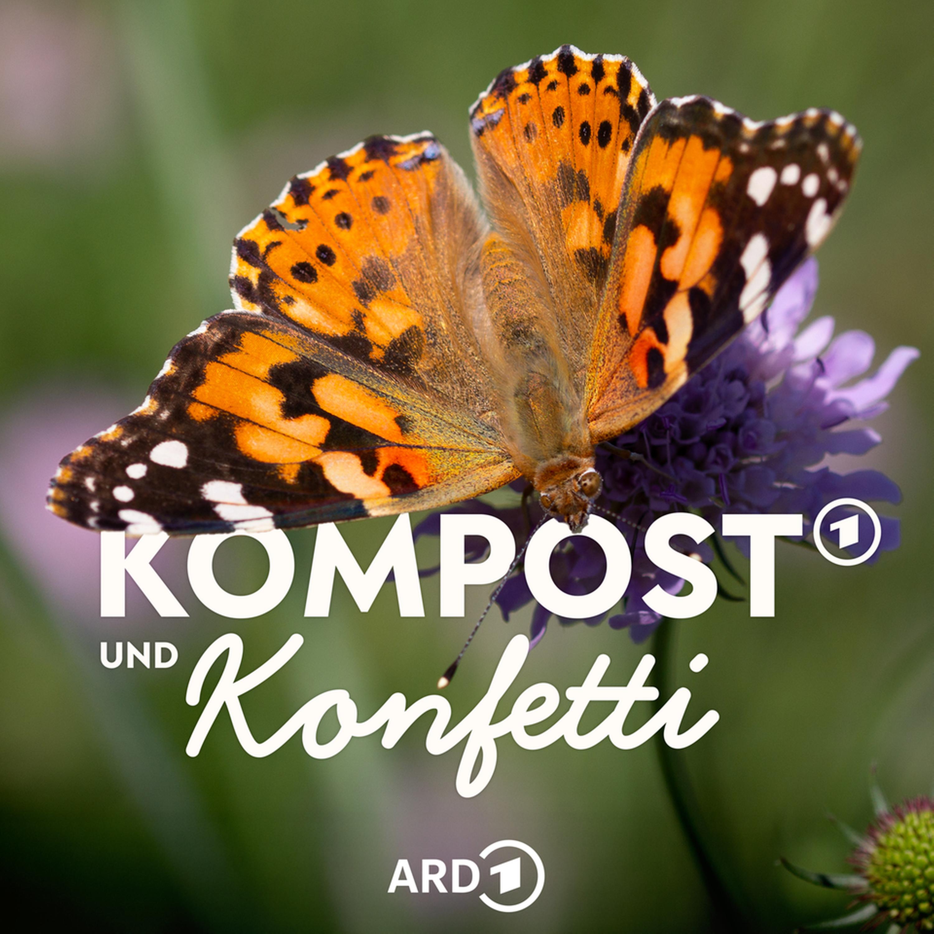 Tolle Insektenpflanzen für deinen naturnahen Garten episode artwork