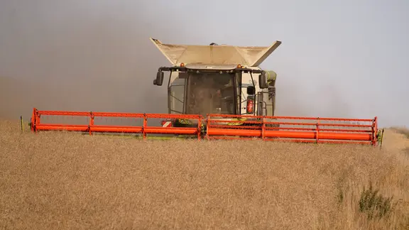 Mähdrescher auf einem Feld bei der Ernte