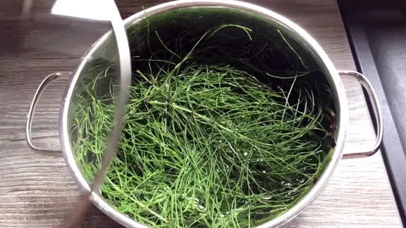 feigen dünger kaufen Feigenbaum Dünger von Flora Boost für gesunde Obstbäume main image 0