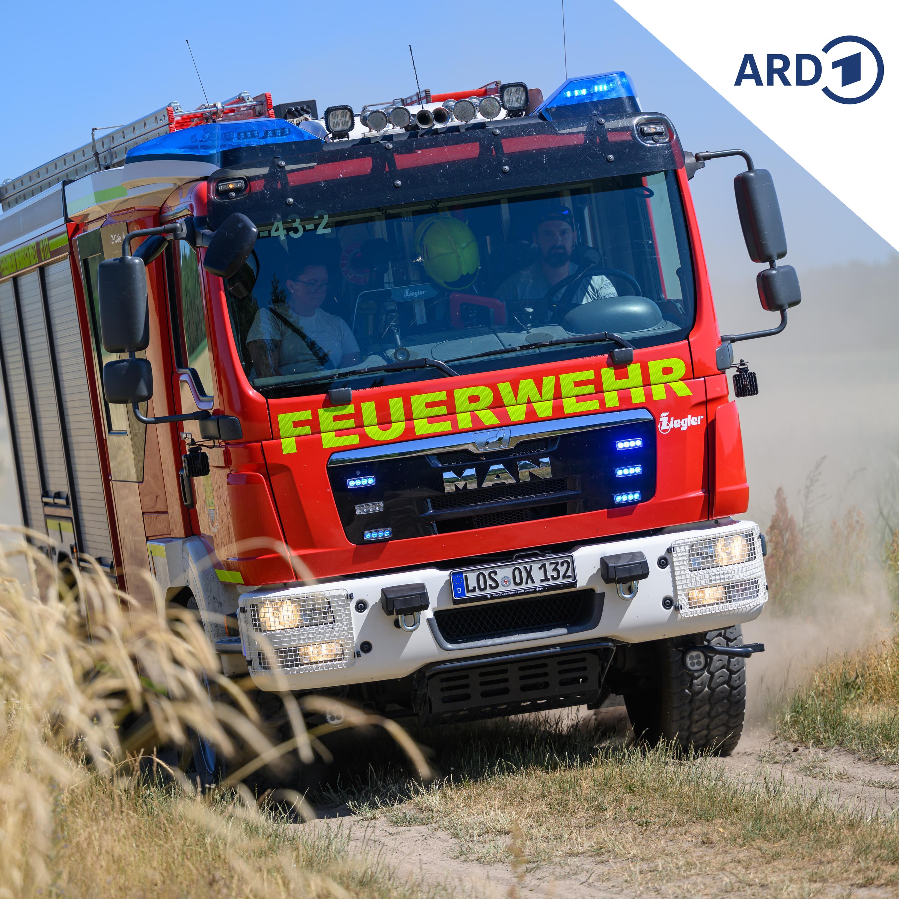 Der Polizeibericht am Nachmittag | 31.07.2026 episode artwork