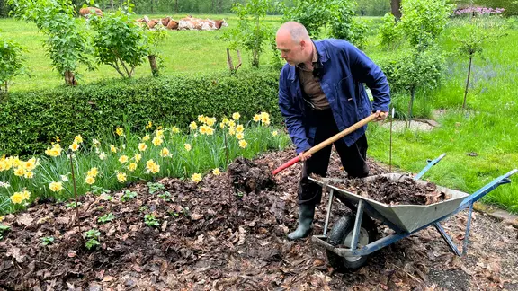 Laub im Garten: 7 Tipps Bltter im Herbst zu nutzen | mdr.de