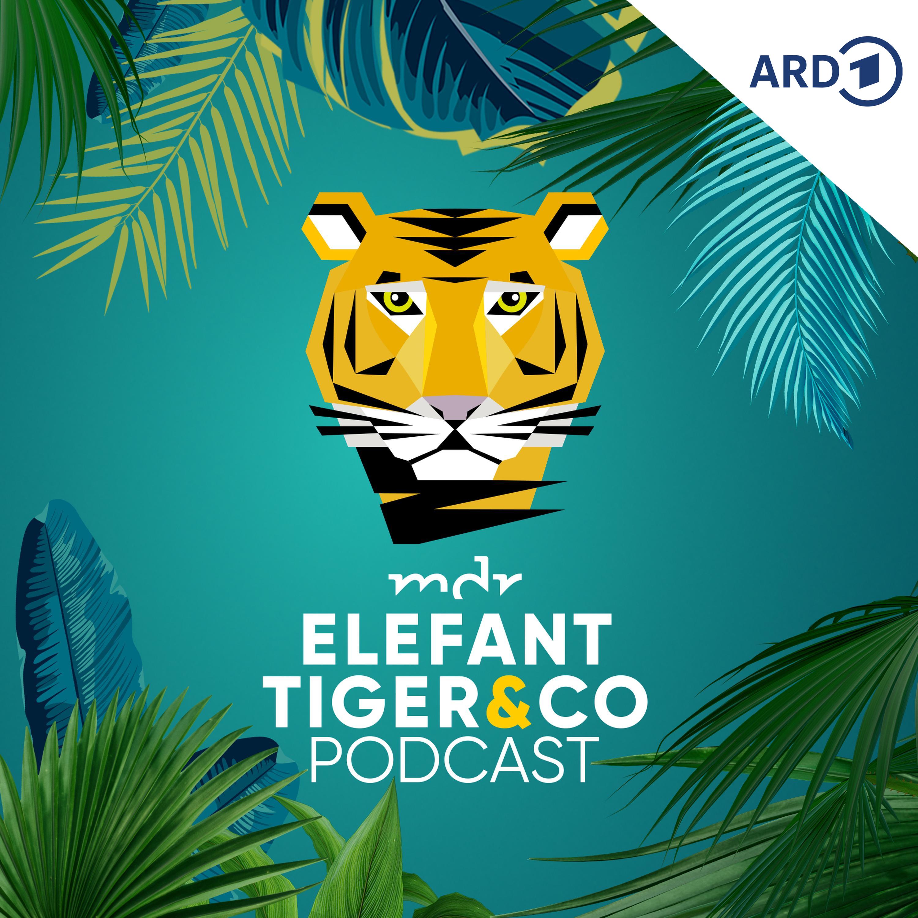 Elefant, Tiger & Co. - Der Podcast